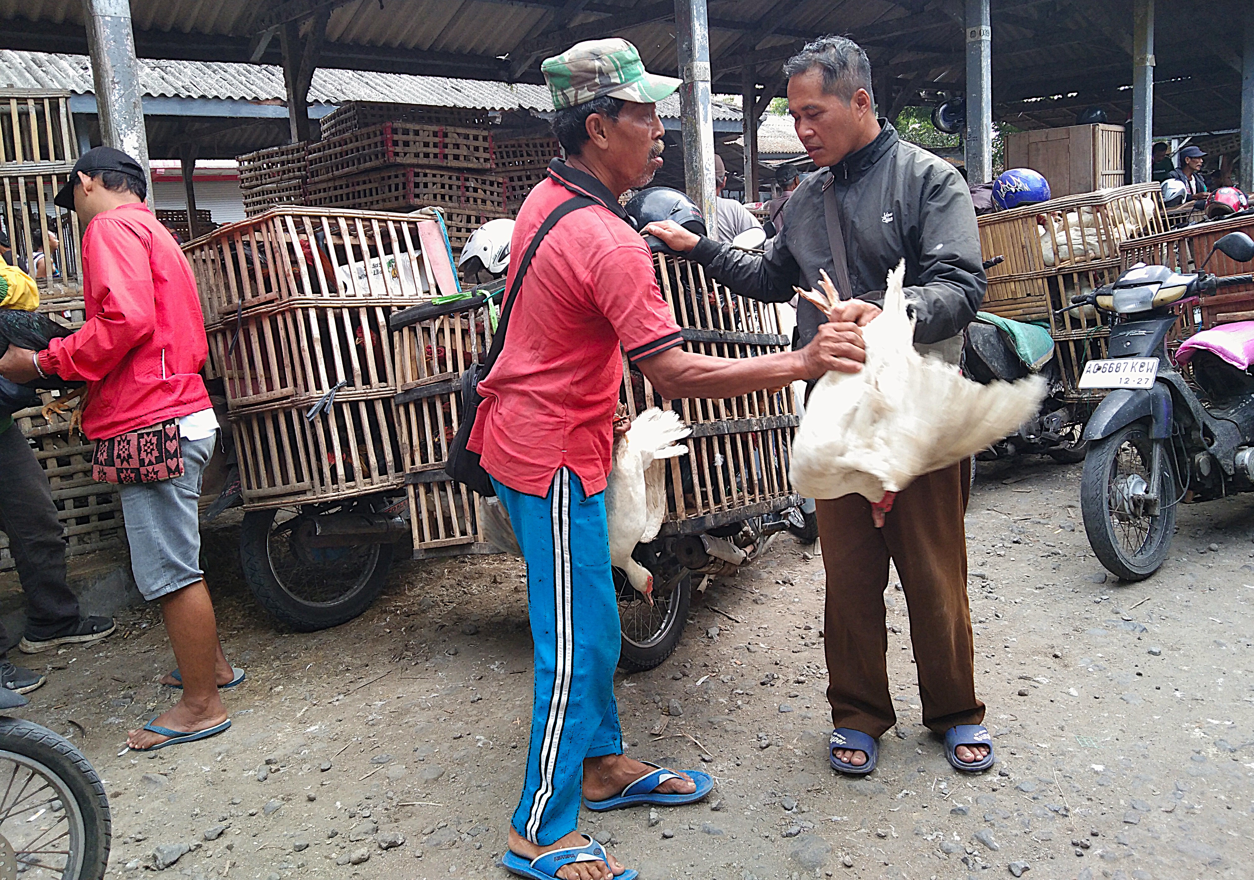 Slow Blitar: Rhythm, Interaction, Opening the Senses